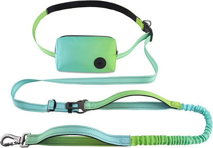 Roses&Poetry Hands Free Dog Leash with Zipper Pouch, 6-9ft Bungee Waist Leash for Medium Large Dogs Walking, Running Lead with Dual Padded Handles Car Safety Buckle for Training Jogging