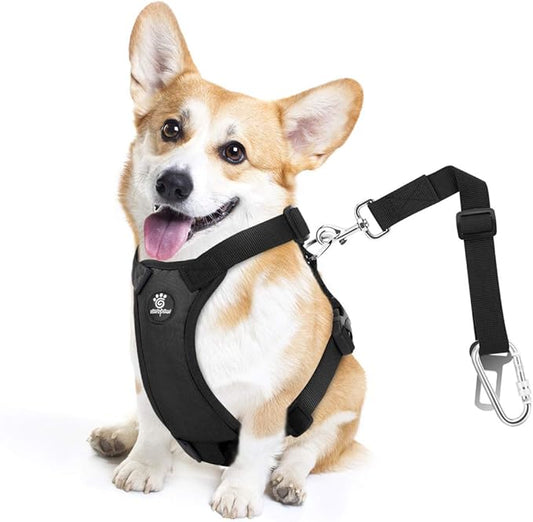 VavoPaw Dog Seat Belt, Safety Vest Dog Car Harness with Adjustable Buckle Dog Seat Belt for Vehicle Nylon Pet Safety Seat Belts Heavy Duty(M, Black)
