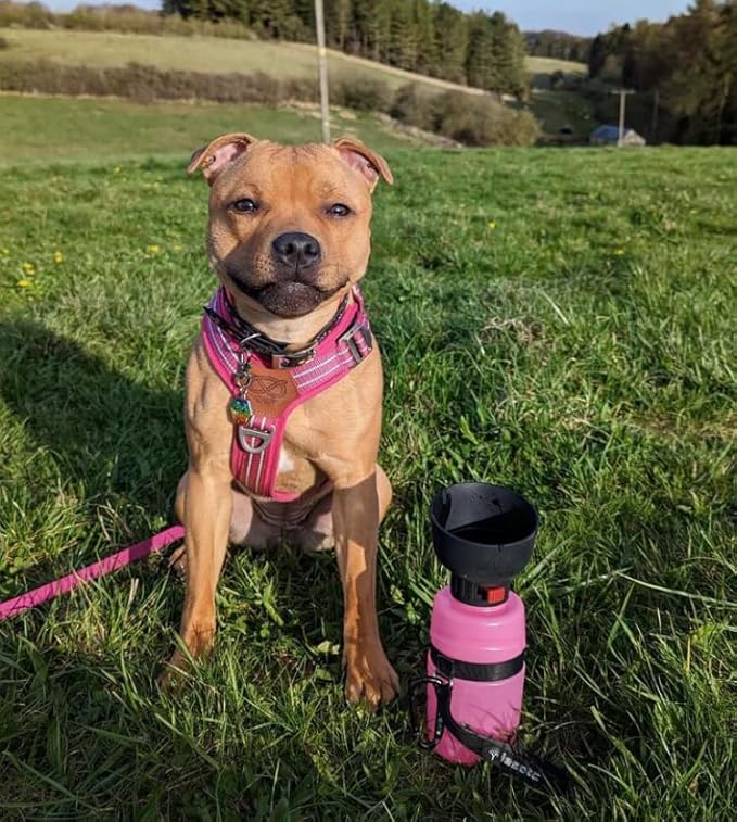 lesotc Dog Water Bottle,Portable Dog Travel Water Bottle Pink,Leak Proof Water Bowl Dispenser,Collapsible Pet Water Bottles for Puppy Camping Essential,Walking,Hiking Gear,On The Go,Traveling,BPA Free