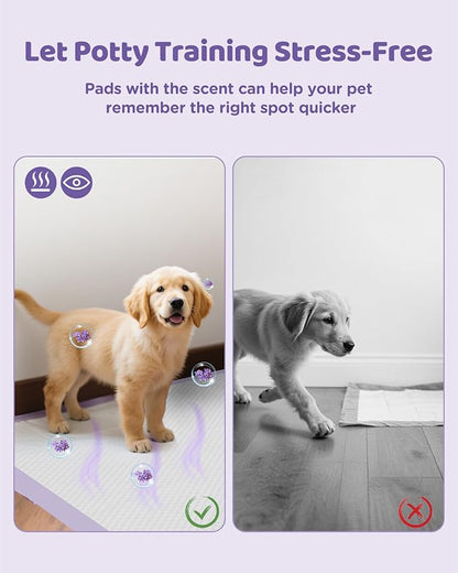 36"x36" 4XL Lavender Scented Disposable Dog Pee Pads, 30 Count | Extra Large Puppy Training Pads with 6-Layer Super Absorbent Protection, Leakproof Puppy Pads for Large Dogs & Senior Pets
