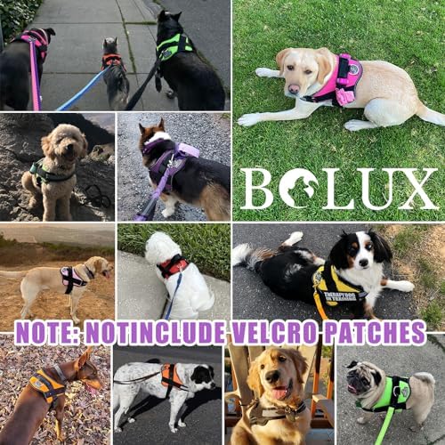 Dog Harness, No-Pull Reflective Dog Vest, Breathable Adjustable Pet Harness with Handle for Outdoor Walking - No More Pulling, Tugging or Choking (Lavender, Large (Pack of 1)) - Image 7