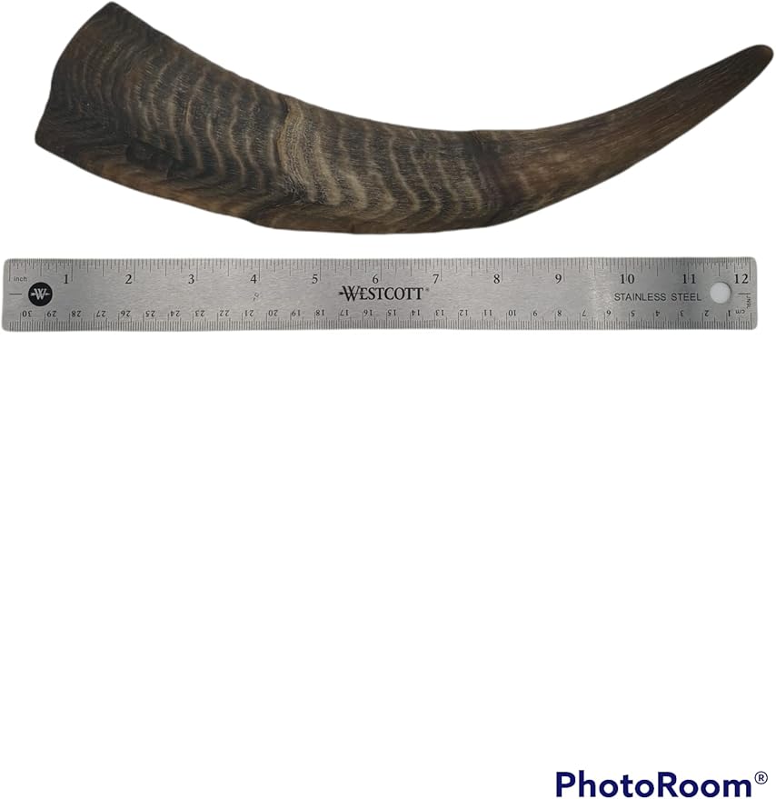 Chews Dried Goat Horns Dog Chew Large 1 pc.