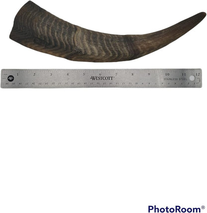 Chews Dried Goat Horns Dog Chew Large 1 pc.