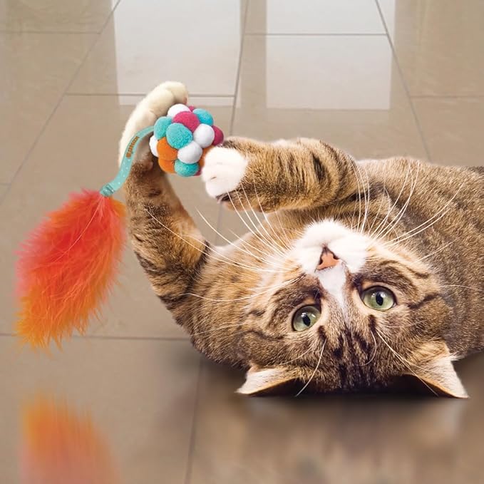 KONG Active Bubble Ball Lightweight Pompom Multi-Sensory Bat and Chase Cat Toy