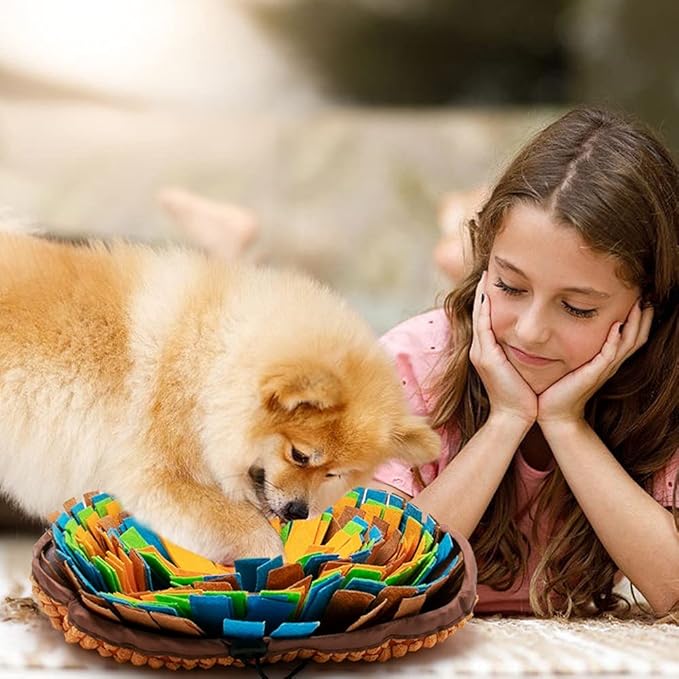 AWOOF Pet Snuffle Mat for Dogs, Interactive Feed Game for Boredom, Encourages Natural Foraging Skills for Cats Dogs Bowl Travel Use, Dog Treat Dispenser Indoor Outdoor Stress Relief (Orange)