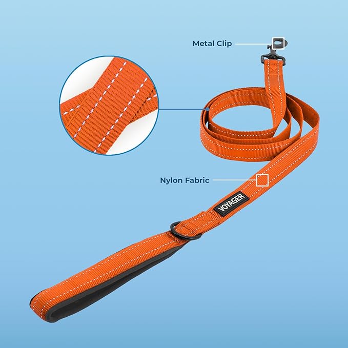 Best Pet Supplies Voyager Reflective Dog Leash or Collar with Neoprene Handle, for Small, Medium, and Large Breed Puppies, Cute and Heavy Duty for Walking, Running and Training - Orange (Leash), S
