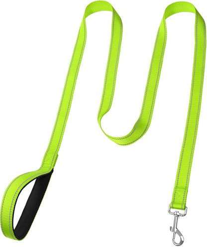 FunTags 6FT Reflective Dog Leash with Soft Padded Handle for Training,Walking Lead for Medium & Small Dogs,3/4 Inch Wide,Green