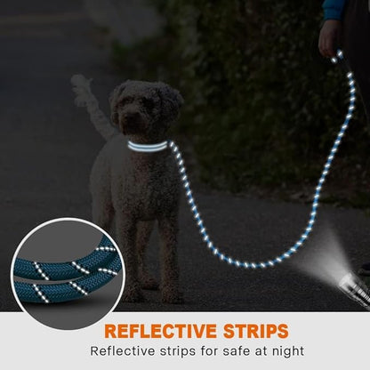 Taglory Rope Dog Leash 4 FT with Comfortable Padded Handle, Highly Reflective Threads Leash and Anti-Tangle Clip for Walking Small Dogs, 3/8 inch, Blue