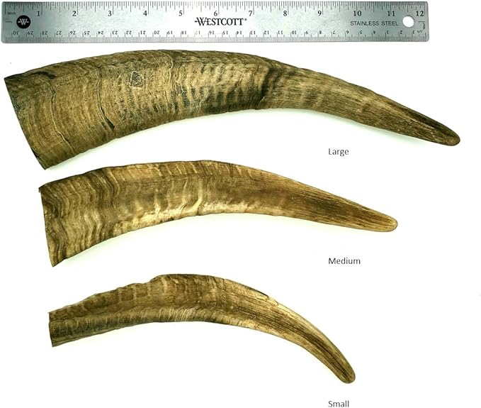 Chews Dried Goat Horns Dog Chew Large 1 pc.