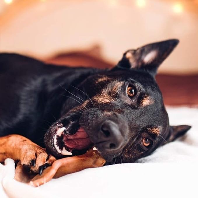 Pet Qwerks Pigs Ear BarkBone - Nylon Dog Bone for Aggressive Chewers - Bacon Flavor - 4.5" | (Pack of 4)
