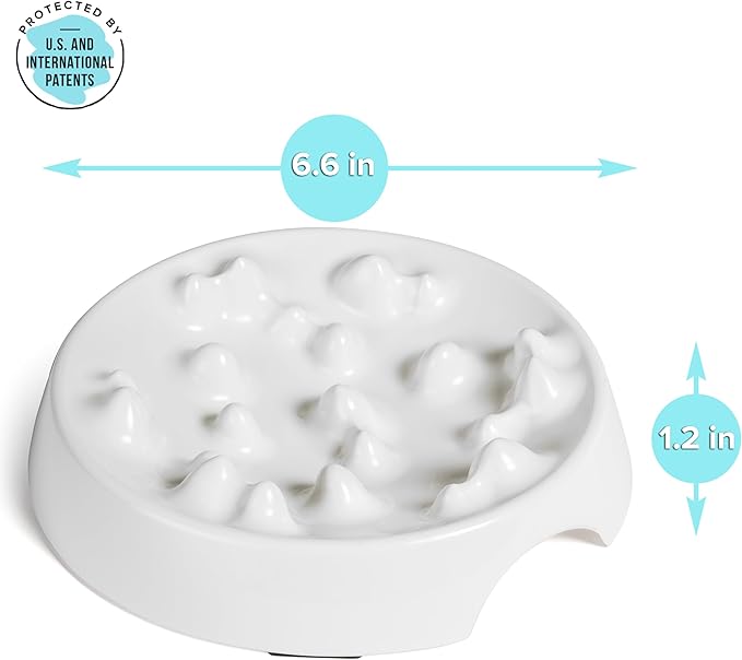CatGuru Cat Bowls, Whisker Friendly Food Bowl for Indoor Cats, Reliefs Whisker Fatigue, Wide Kitten Dish, Non Slip Pet Dishes, Shallow Pet Plates (Marshmallow, (Pack of 2))