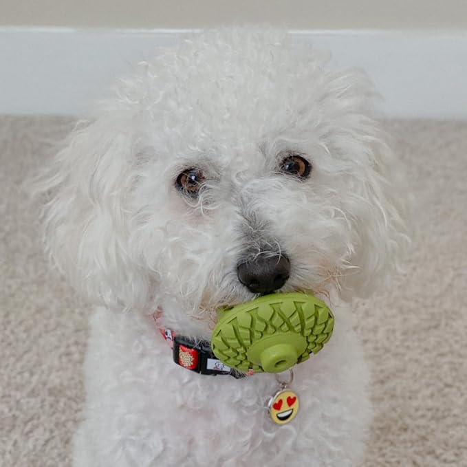 Tall Tails Acorn Natural Rubber Reward Toy for Dogs - Use for Spreadables Treats and Kibble Play
