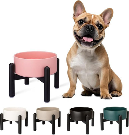 Raised Ceramic Dog Bowl - Elevated Food Water Dish with Stainless Steel Stand - for Small to Medium Dogs - 6 Inch - 2 Cups (28.75 fl oz) - Pink