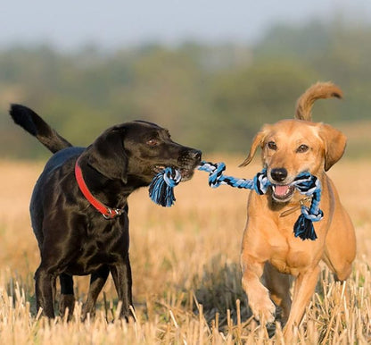 Bmag Dog Rope Toys for Aggressive Chewers, Interactive Heavy Duty Dog Toys for Medium Large Dogs, Tough Twisted Rope Toy with 5 Knots (Blud)
