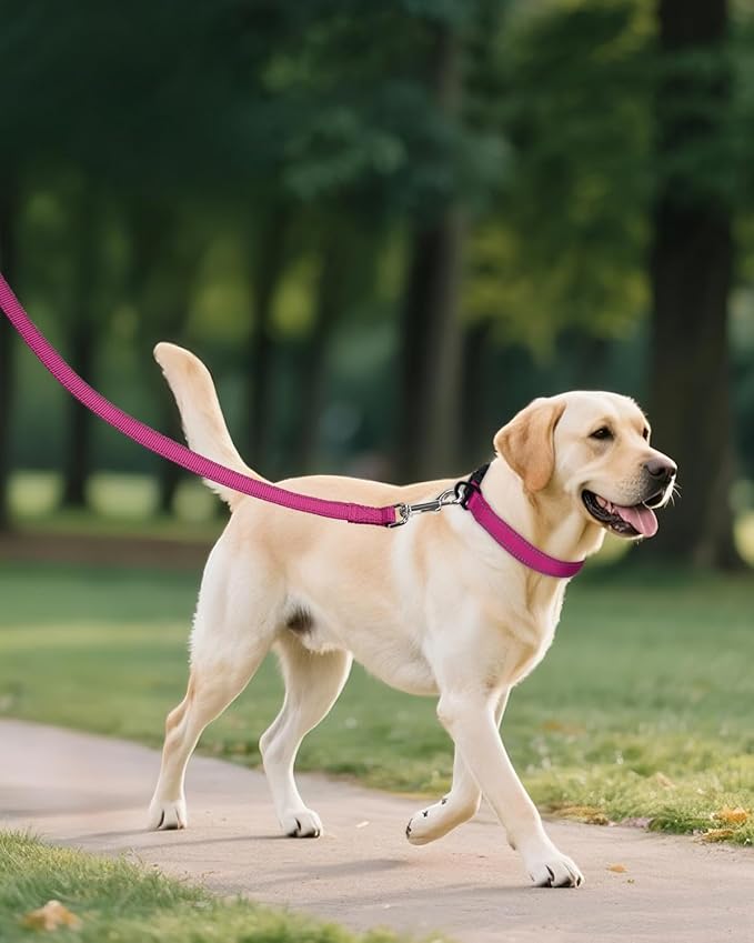 Joytale Dog Collars for Medium Dogs, Comfortable Double-Sided Reflective Nylon Collar for Night Safety, Adjustable Quick-Release for Active Pets, Hotpink, M (1" Width)