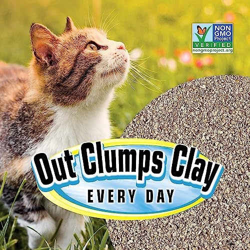 SmartCat All Natural Clumping Cat Litter - Chemical and Dust Free - Alternative to Clay and Pellet Litter - Unscented-and Lightweight - 5 Pounds,(Pack of 2) - Image 6