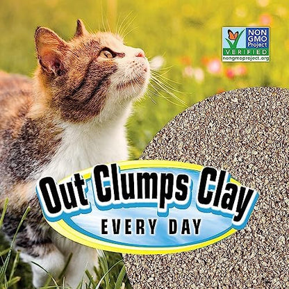 SmartCat All Natural Clumping Cat Litter - Chemical and Dust Free - Alternative to Clay and Pellet Litter - Unscented-and Lightweight - 5 Pounds,(Pack of 2) - Image 6
