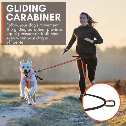 Non-stop dogwear Canix belt, unisex Parent