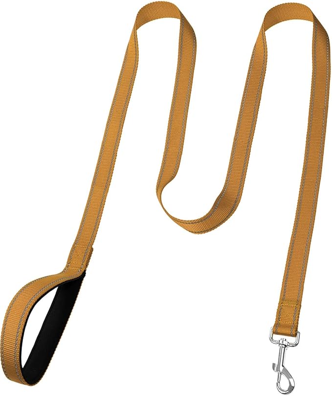 FunTags 4FT Reflective Dog Leash with Soft Padded Handle for Training,Walking Lead for Large & Medium Dog,1 Inch Wide,Khaki