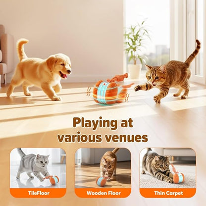 Interactive Dog Toy,2026 New Automatic Rolling Ball with Rope for Cat, Durable Dogs Rope Toy for Chewing and Playing, Dogs Ball Toy for Puppy Cats (Orange/2pcs)