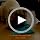 LickiMat Felix, Fish-Shaped Cat Slow Feeders Lick Mat, Boredom Anxiety Reducer; Perfect for Food, Treats, Yogurt, or Peanut Butter. Fun Alternative to a Slow Feed Cat Bowl or Dish, Turquoise - Image 7