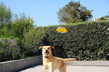 Flying Rope Disc, Dog Toy, 2 Pack (Blue and Yellow