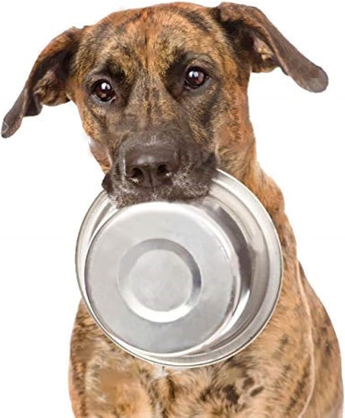 Greendale - 2 Pack - 10 Cup Capacity - Stainless Steel Metal Dog Bowls - Perfect for Dog Food and Water. Wrong Size? Click to Look at Our Size Options.