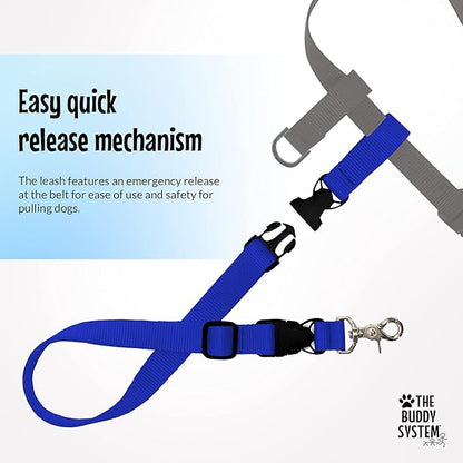 The Buddy System Hands Free Dog Leash, Adjustable Leash for Running, Jogging, Training and Service Dogs, Great for Small, Medium and Large Dogs, Made in USA (Royal Blue, Regular Belt (22"- 40" Waist))