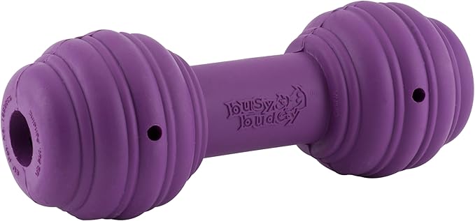 PetSafe Busy Buddy Chuckle - Treat Dispensing Toy for Interactive Play - Chuckle Sound Toy - Dog Enrichment Chew Toy - Durable Rubber Construction - Dishwasher Safe