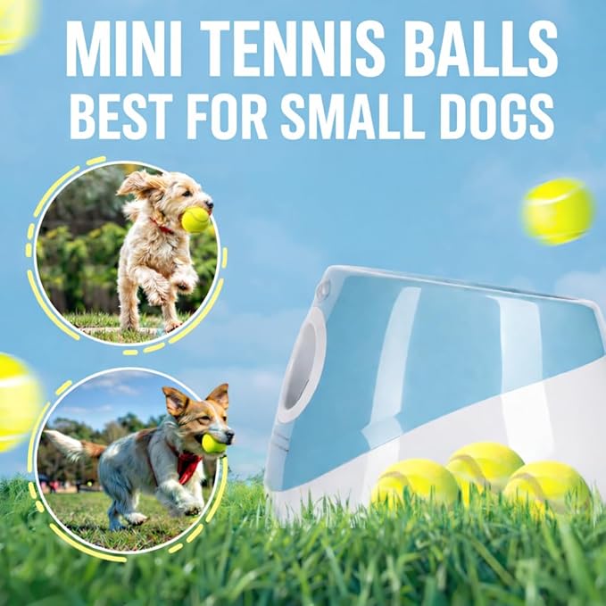 Automatic Dog Ball Launcher for Small Dogs – Dog Ball Thrower Fetch Machine - Indoor Outdoor Interactive Toy with 3 Mini Tennis Balls 2 Inch