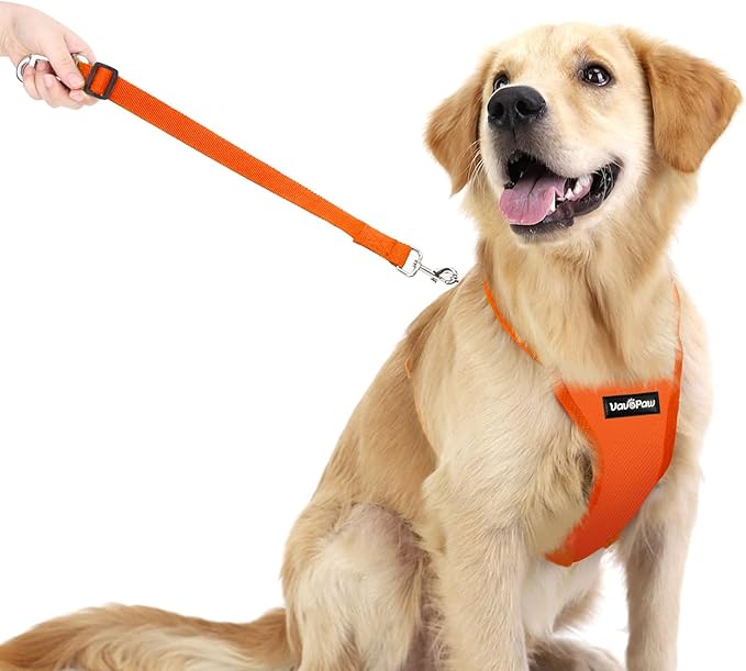 VavoPaw Dog Seat Belt, Safety Vest Dog Car Harness with Adjustable Buckle Dog Seat Belt for Vehicle Nylon Pet Safety Seat Belts Heavy Duty(M, Orange)