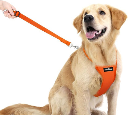 VavoPaw Dog Seat Belt, Safety Vest Dog Car Harness with Adjustable Buckle Dog Seat Belt for Vehicle Nylon Pet Safety Seat Belts Heavy Duty(M, Orange)