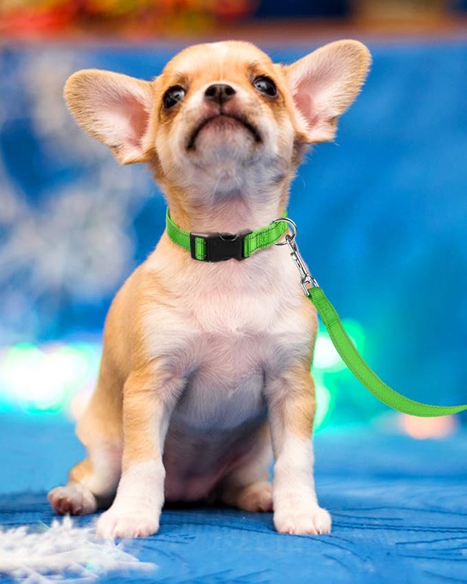 FunTags Reflective Dog Collar, Sturdy Nylon Collars for Puppy and Extra Small Girl and Boy Dogs, Adjustable Dog Collar with Quick Release Buckle,Green,3/8" Width
