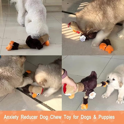 Dog Squeaky Toys - Rooster Plush Toys Chew Resistant Stuffed Durable Squeaky Dog Toys, Anxiety Reducer Chew Toy for Puppy Small Medium Large Dogs