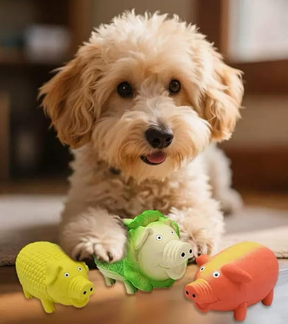 Dog Squeaky Toy, 2 Pack Latex Chew Toys with Oinks Sound Squeaker Cabbage&Carrots Grunting Pig Dog Toy Durable Dogs Squeeze Toy for Small Medium Large Dog Dental Biting Chasing to Kill Boring Time