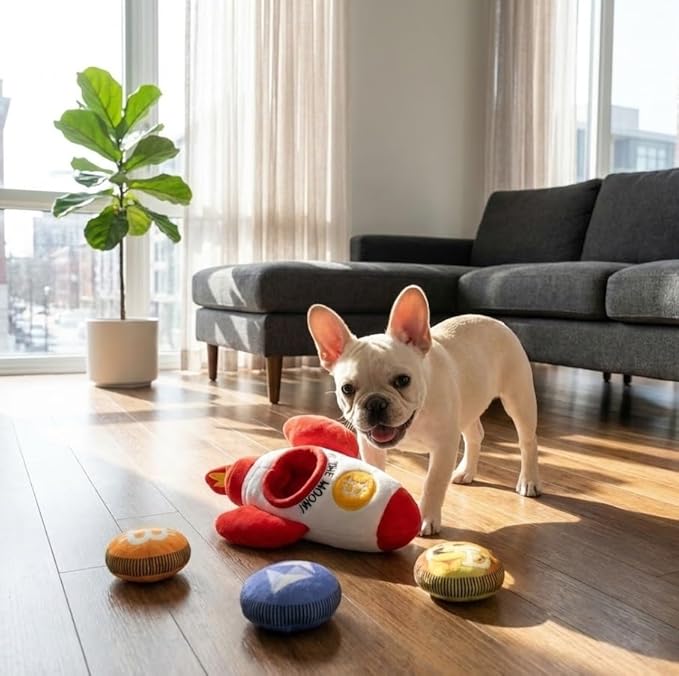 MODERN WAVE - Squeaky Plush Dog Toy Bitcoin Crypto - Interactive Hide and Seek Squirrel Type Puzzle Toy for Dogs, Small - Medium Size (Rocket and Coins)