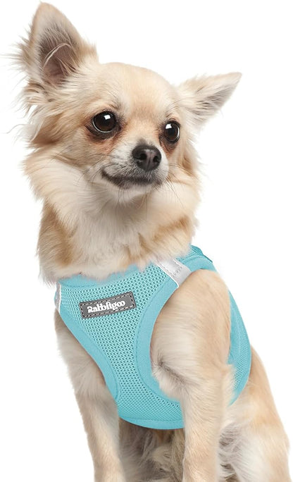 rabbitgoo Small Dog Harness, Step-in Soft Mesh Puppy Vest with Safety Buckle, Breathable Reflective Pet Harness for Extra Small Dogs, Mint Blue XXXS