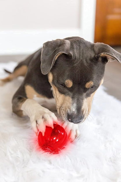 Pet Qwerks Blinky Babble Ball - Flashing Interactive Dog Toy - Large