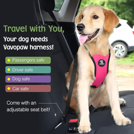 VavoPaw Dog Seat Belt, Safety Vest Dog Car Harness with Adjustable Buckle Dog Seat Belt for Vehicle Nylon Pet Safety Seat Belts Heavy Duty(L, Magenta)