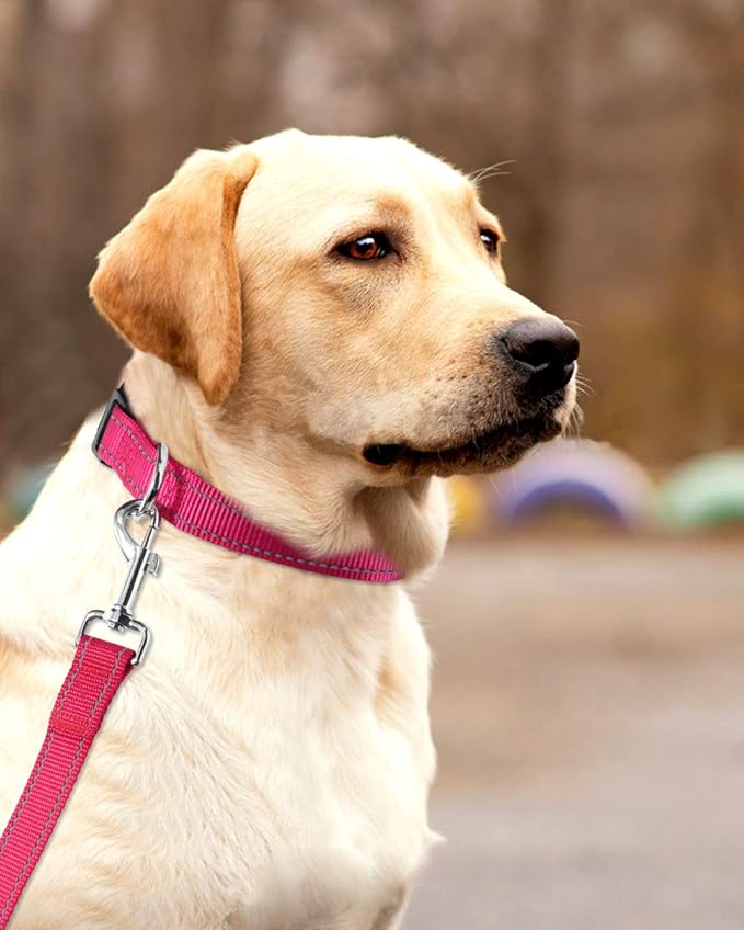 FunTags Reflective Dog Collar, Sturdy Nylon Collars for Large Girl and Boy Dogs, Adjustable Dog Collar with Quick Release Buckle, Pink