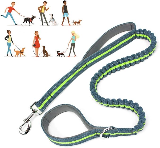 Dog Collars and Leads Heavy Duty Training Leash with Double Padded Handles Reflective 4 FT Long Perfect for Small Medium Large Dogs Walking Hiking Green LEONEBEBE