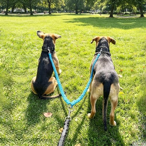 Double Dog Leash Coupler, Different Length Splitter for 2 Dogs - Image 6