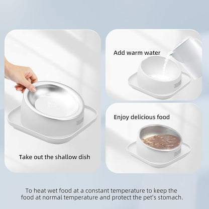 Cat Bowls Elevated Tilted Whisker Friendly, Cat Food Bowls for Indoor Cats, Shallow Food Dishes Stainless Steel, Slanted Flat Plastic Feeder Elevated Angled Design.(White)