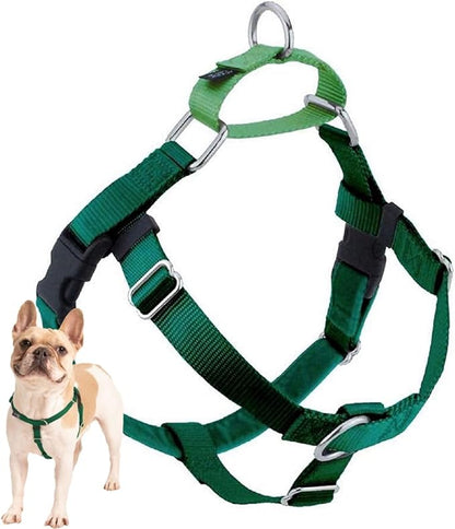 2 Hounds Design Freedom No Pull Dog Harness, Adjustable Harness, Easy Walking & Comfortable Control, Fits Small, Medium & Large Dogs, Solid Colors, Made in USA, 1" LG, Kelly Green