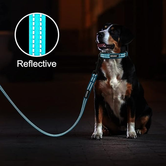 azuza Reflective Dog Collar, Soft Neoprene Padded Pet Collar with ID Tag Ring, Adjustable for Small Dogs,Vitality Blue,M