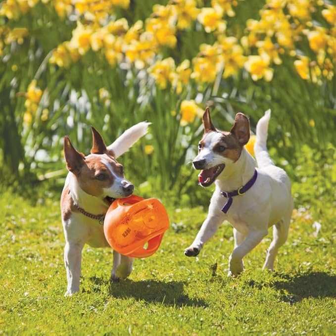 KONG Jumbler Ball - Interactive Dog Toy for Dog & Puppy Playtime - Fetch Toy with Tennis Ball - Dog Supplies for Engaging Play (Medium/Large)
