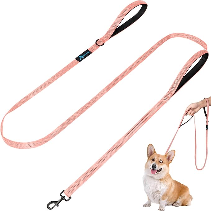 PuppyDoggy Dog Leash for Small to Medium Dogs 6 ft x 0.6" with 3 Reflective Stitching and 2 Traffic Padded Handles Dog Lead/Rope, Pet Leash for Running Walking Training (Pink 1 Pack - 6 ft x 0.6 in)