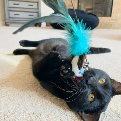 Interactive Cat Toys for Indoor Cats - Retractable Fishing Pole Teaser Wand - Suction Cup Window Mount - Hanging Door Bouncer - 9 Feather Attachments - Bored Adult Feline Activity - Kitten Juguetes