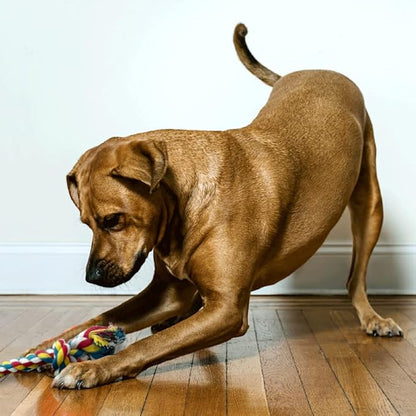Knotted Rope Chew Toy for Dogs - Large Four Knot 28"