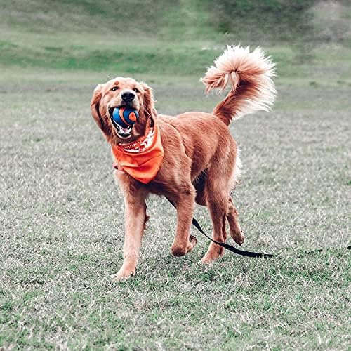 Chuckit! (3 Pack) Ultra Squeaker Ball, Large - Image 5